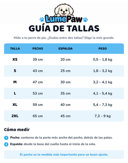 Chubasquero para Perro