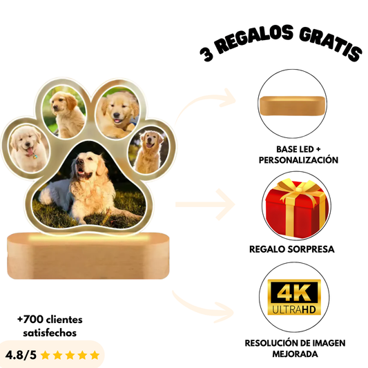 Lámpara huella de mascota personalizada